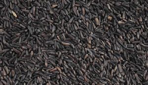 Niger Seed