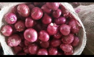 red onion