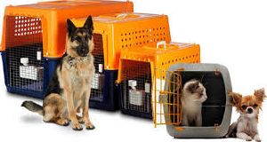 pet relocation services