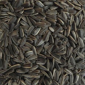 sunflower seeds