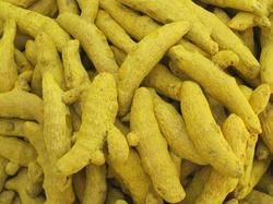 dried turmeric finger