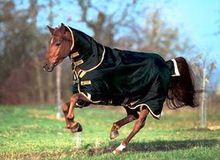 Horse Rug