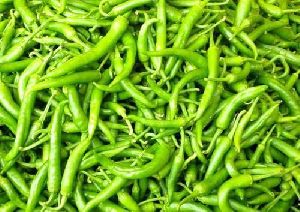Organic Green Chilli