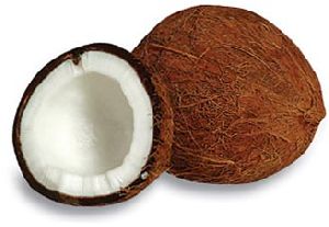 Farm Fresh Coconuts