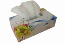 Tissue Paper Custom Folding Carton