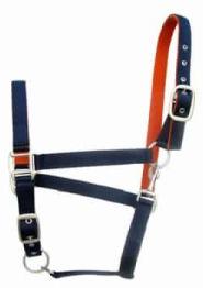 Horse Halter