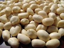 groundnut kernel