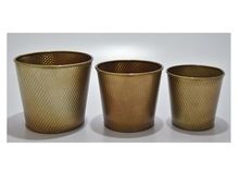 Brass Finish Garden Pots