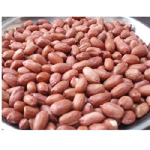 Peanut and Groundnut Without Shell