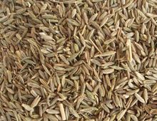 cumin seed