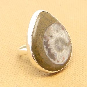 Ammonite Fossil 925 Sterling Silver Bezel Ring