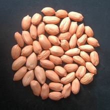 Ground nut Kernel Ultra High Quality Peanut