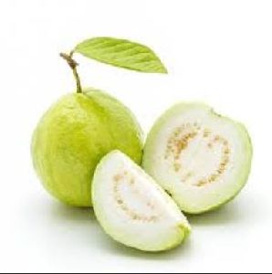 fresh guava