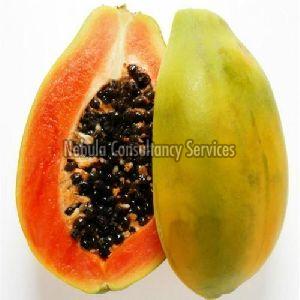 Fresh Organic Papaya