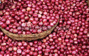 Organic Fresh Rose Onion, For Human Consumption, Packaging Type : Jute Bags, Plastic Bags