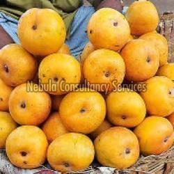 Fresh Rumani Mango