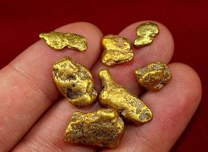 Gold Nuggets,Bars and DUST