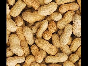 Natural Shelled Peanuts