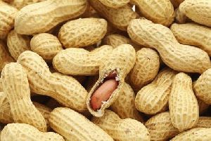 raw shelled peanuts