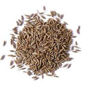 cumin seeds