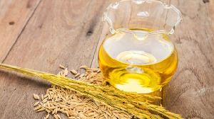 rice bran oil