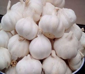 Whole Garlic