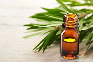 Pure Tea Tree Oil