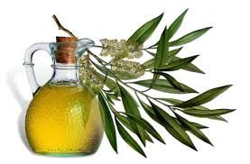 Tea Tree Oil