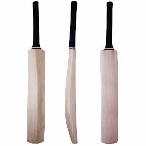 sheesham Cricket Bat