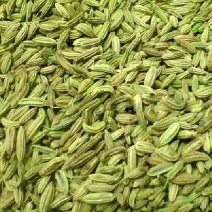 Sweet Fennel Seeds