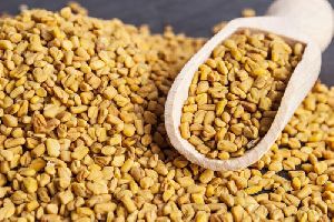 yellow fenugreek seeds