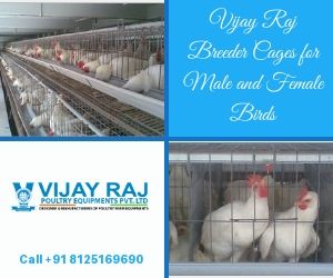 Breeder Cage Manufacturer