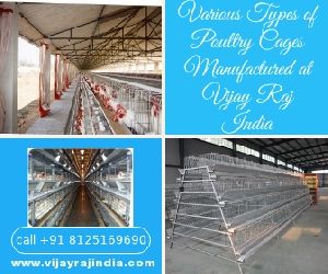 cage manufacturers in india