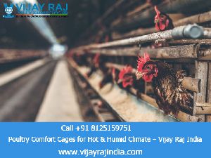 open house battery cage system
