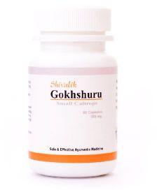 Gokhshuru- For Urinary Infection, Female Reproductive System, Liver, Kidney and Immune Systems