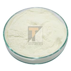 Soya Protein Isolate