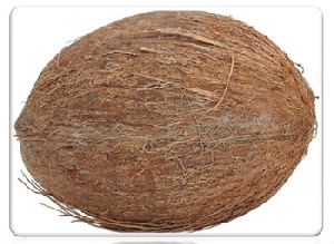 Whole Coconut