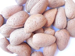 Sonora Inshell Almonds
