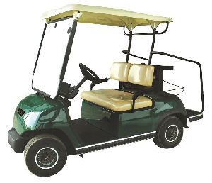 2 seater golf cart