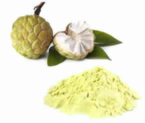 Custard Apple Powder