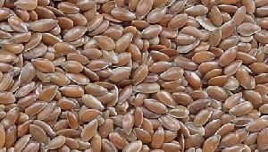 Flax Seed Linseed