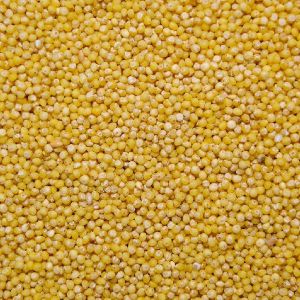 Food Grains & Cereals