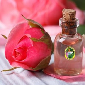 Herbal, Ayurvedic Oils & Cosmetics