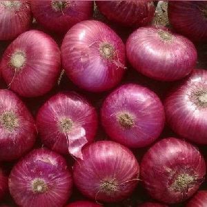 fresh red onion