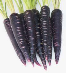 Black Carrot