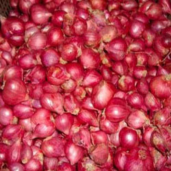 Fresh Sambar Onion