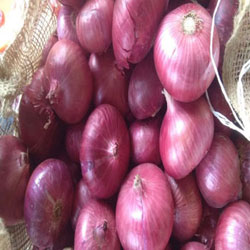 Pink Onion