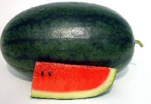 Green Watermelon