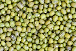 mung beans