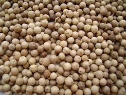 Raw White Pepper Seeds